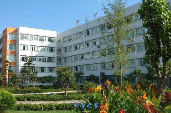 学校