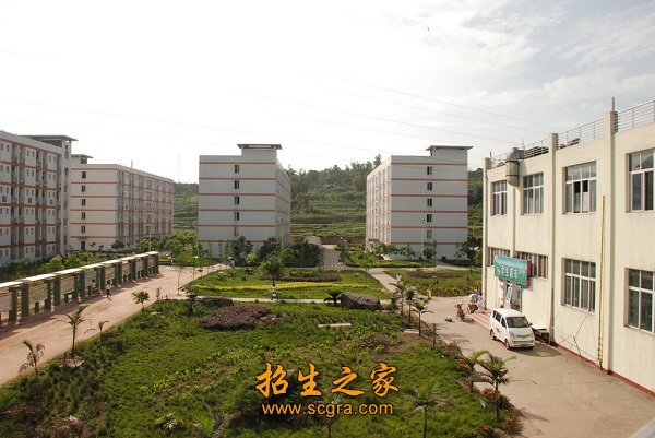 学校环境