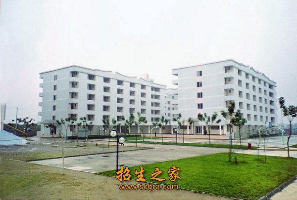 学校环境