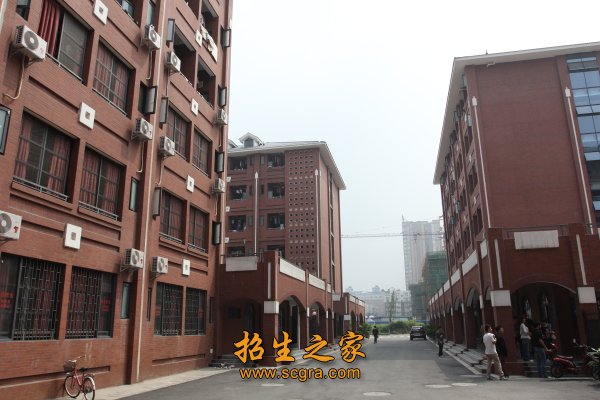 学校环境