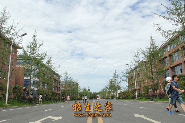 学校环境