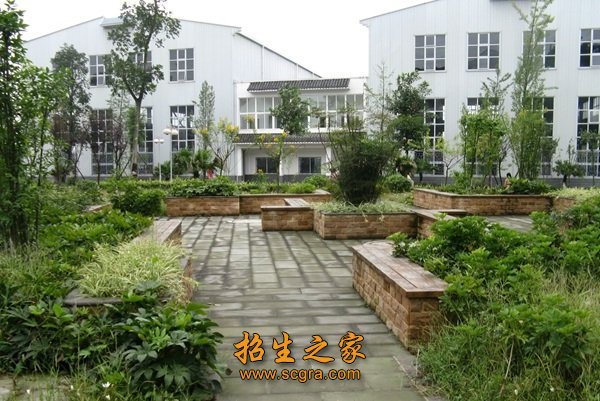 学校风景