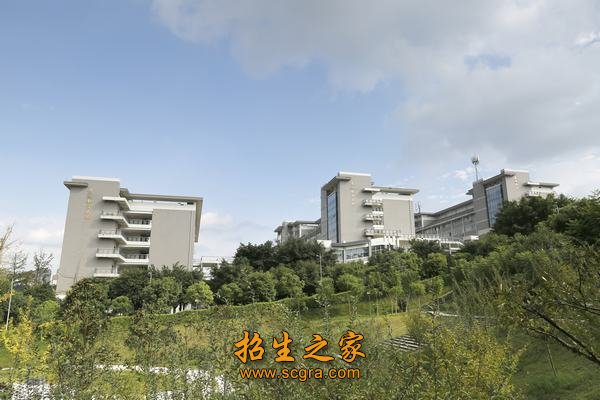 学校