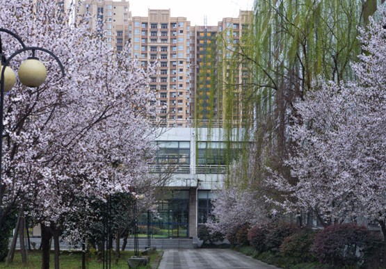 2019年成都市师范学院招生录取分数线