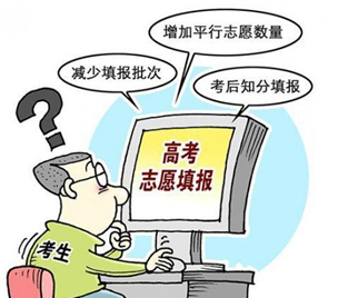 2019高考报考什么专业好