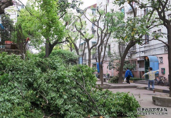 重庆卫生学校有哪些专业及什么专业好_招生问答