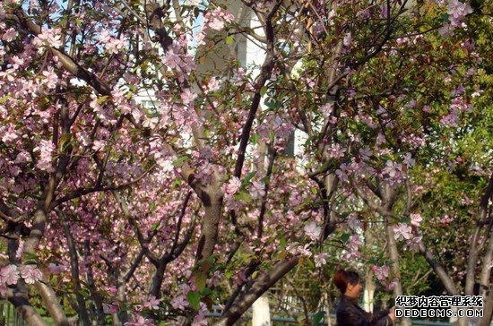 重庆医药科技学校寝室宿舍条件与学校食堂环境_招生问答