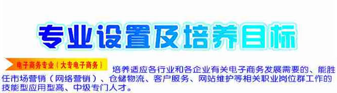 盐亭职业技术学校2020-电子商务招生(中专+大专)