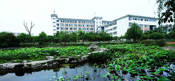 四川爱华学院2020年招生简章