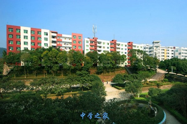 学校一景